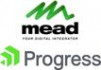 Mead - Progress